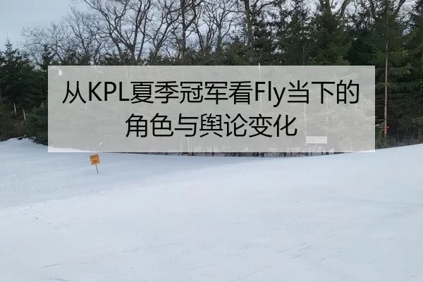 从KPL夏季冠军看Fly当下的角色与舆论变化